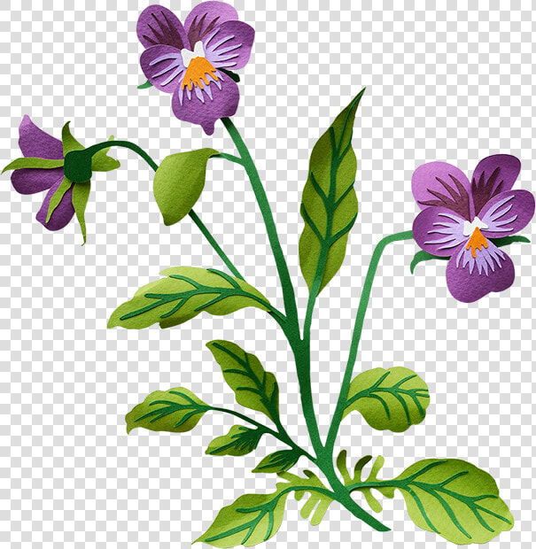 Pansy Transparent Background Clipart   Png Download   Transparent Background Clip Art  Png DownloadTransparent PNG