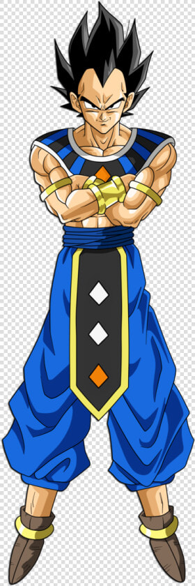 Vegeta God Of Destruction  HD Png DownloadTransparent PNG