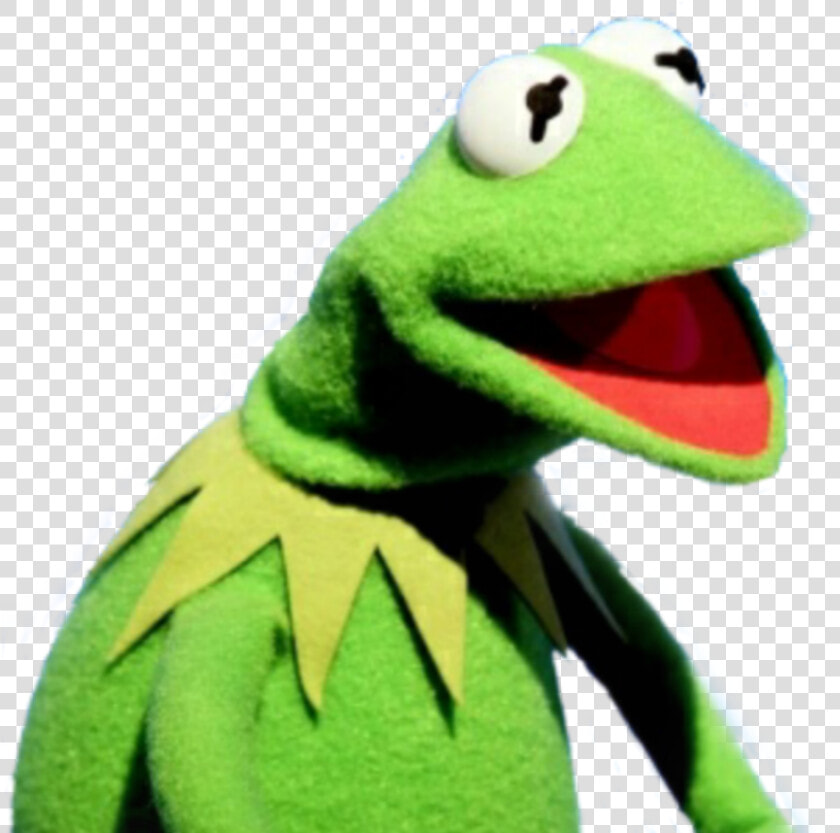  kermit  caco  meme   Ué Meme  HD Png DownloadTransparent PNG