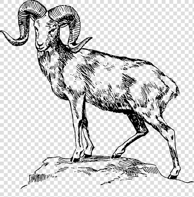 Mountain Standing Free Graphic   Mountain Goat Clip Art  HD Png DownloadTransparent PNG