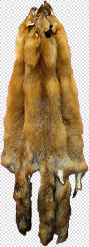 Quebec Wild Red Fox Pelt   Red Fox Pelt  HD Png DownloadTransparent PNG