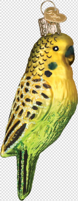 Budgie  HD Png DownloadTransparent PNG