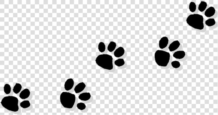 Pawprint Clipart Trail   Paw Print Clipart Transparent Background  HD Png DownloadTransparent PNG