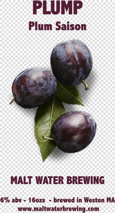 Plum Saison   Plump   Beach Plum  HD Png DownloadTransparent PNG