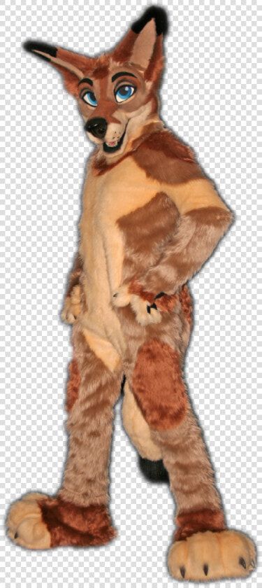 Ketch   Furry Costume Price  HD Png DownloadTransparent PNG