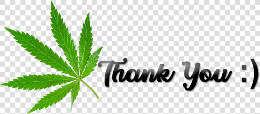 Thank You Cannabis Png   Thank You Cannabis  Transparent PngTransparent PNG