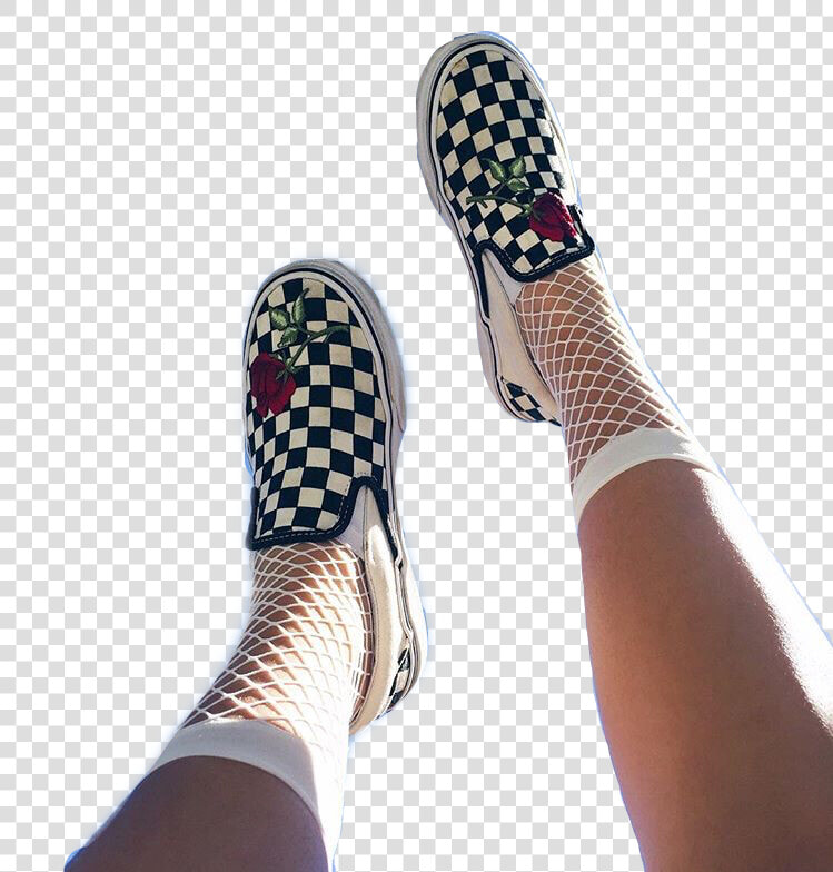  roses  vans  aestheticvans  shoes  fishnet  legs  net   Baum Und Pferdgarten  HD Png DownloadTransparent PNG