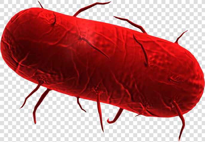 Plague Inc Bacteria   Bakteria Plague Inc Evolved  HD Png DownloadTransparent PNG