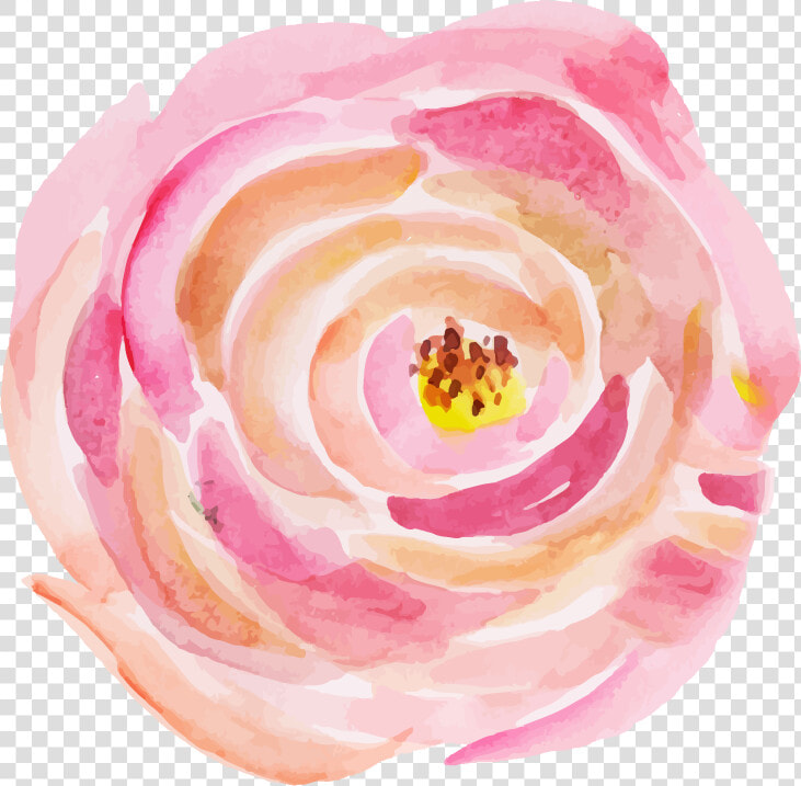 Persian Buttercup  HD Png DownloadTransparent PNG