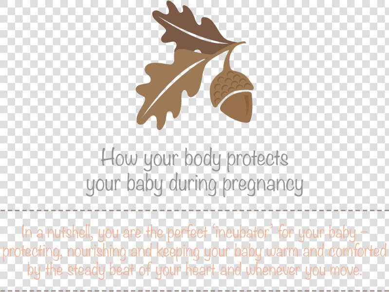 Transparent Baby In Womb Png   Let My Soul Smile Through My Heart At I May Scatter  Png DownloadTransparent PNG