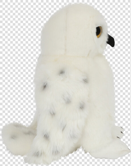 Hedwig Png  Transparent PngTransparent PNG