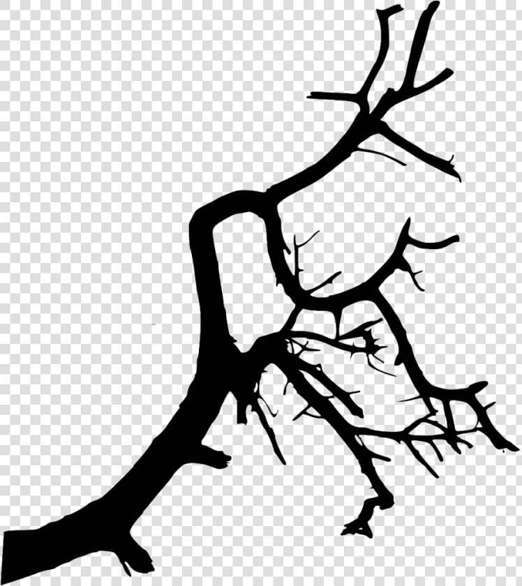  trees  tree  foliage  shadow  black  nature  plants   Tree Branch Tree Shadow Png  Transparent PngTransparent PNG