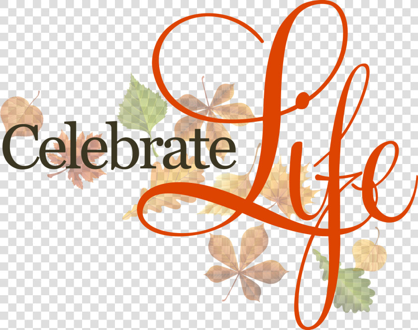 Love In Action 24 7 Pregnancy Solutions Services Birthday   Celebrate Life  HD Png DownloadTransparent PNG