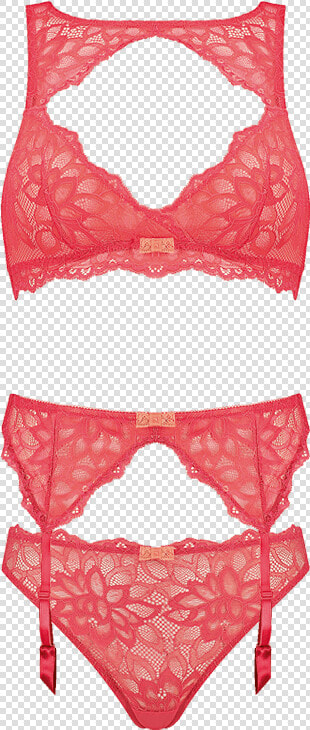 Panties  HD Png DownloadTransparent PNG