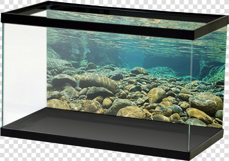 Transparent Underwater Png   Underwater Rocks  Png DownloadTransparent PNG