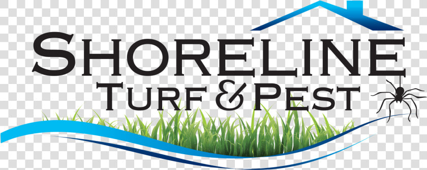 Shoreline Turf  amp  Pest Control Inc Logo  HD Png DownloadTransparent PNG