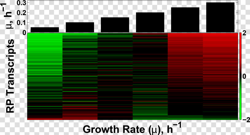 Transcriptional Growth Rate Response Of The Ribosomal   Graphic Design  HD Png DownloadTransparent PNG