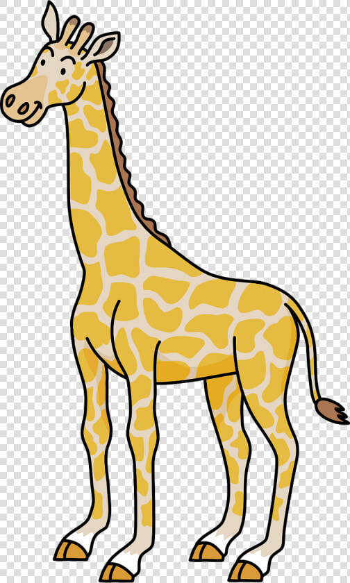 Giraffe Animal Clipart   Giraffe  HD Png DownloadTransparent PNG