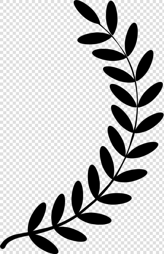 Vector Graphics Clip Art Laurel Wreath Portable Network   Olive Branch Clipart Free  HD Png DownloadTransparent PNG