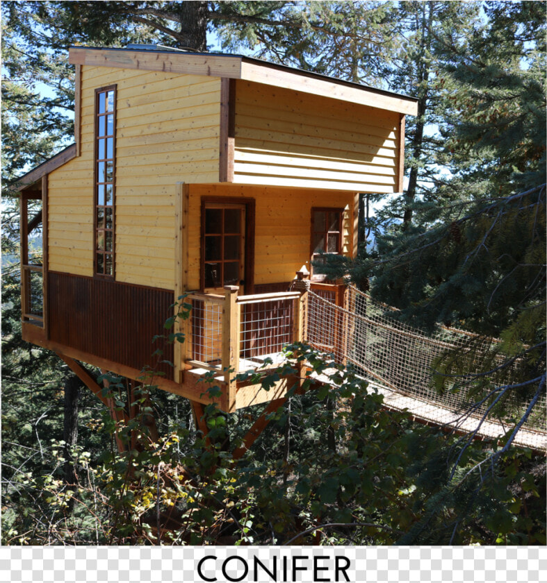 Conifer Square Title   Cottage  HD Png DownloadTransparent PNG