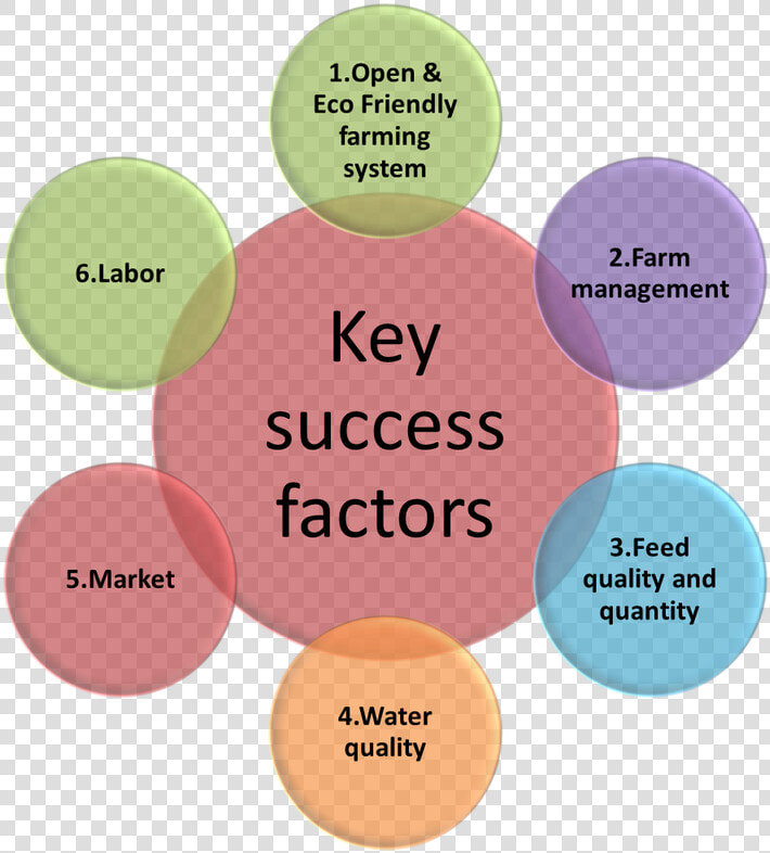 Key Success Factors  HD Png DownloadTransparent PNG