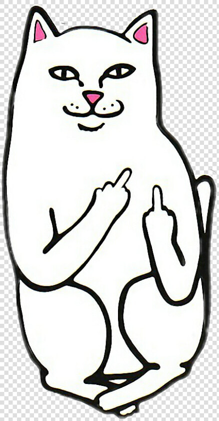 Transparent Ripndip Png   Rip N Dip Cat  Png DownloadTransparent PNG