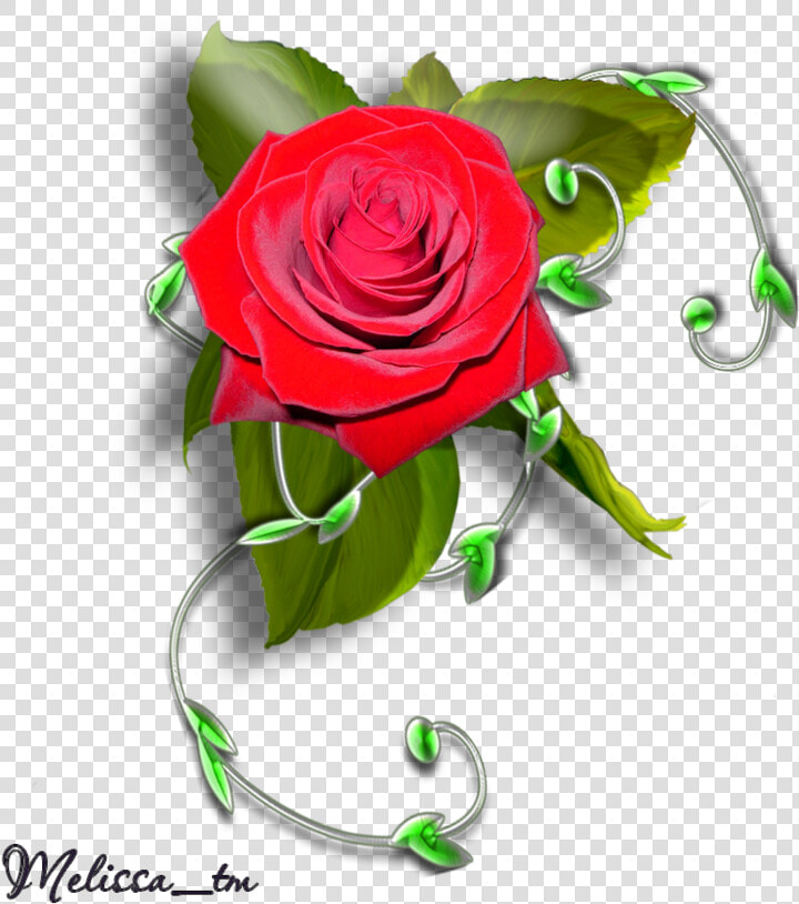 Element Rose With Leaves And Swirl Png By Melissa tm   Roses Element Png  Transparent PngTransparent PNG