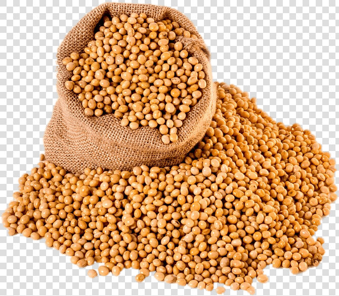 Bag Of Soybeans  HD Png DownloadTransparent PNG