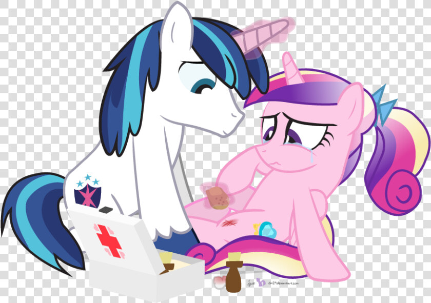 Princess Cadence Shining Armor  HD Png DownloadTransparent PNG