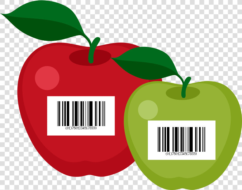 Manzanas Codificadas  HD Png DownloadTransparent PNG