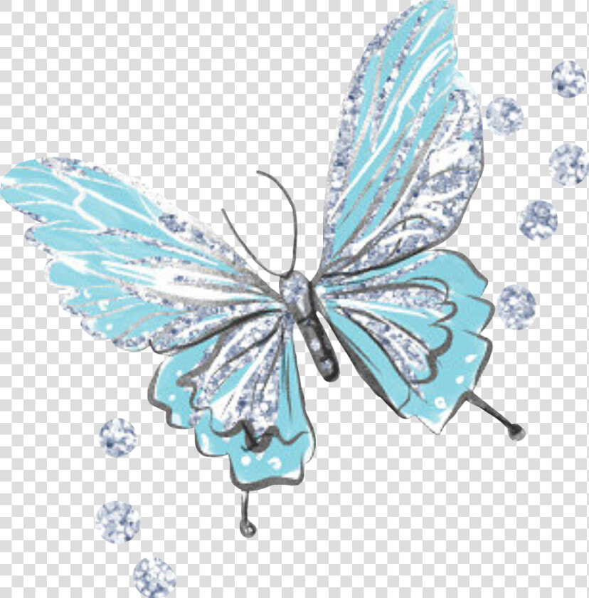 Butterfly Butterflywings Blue Glitter Sparkly Cute   Blue Sparkly Butterfly Png  Transparent PngTransparent PNG