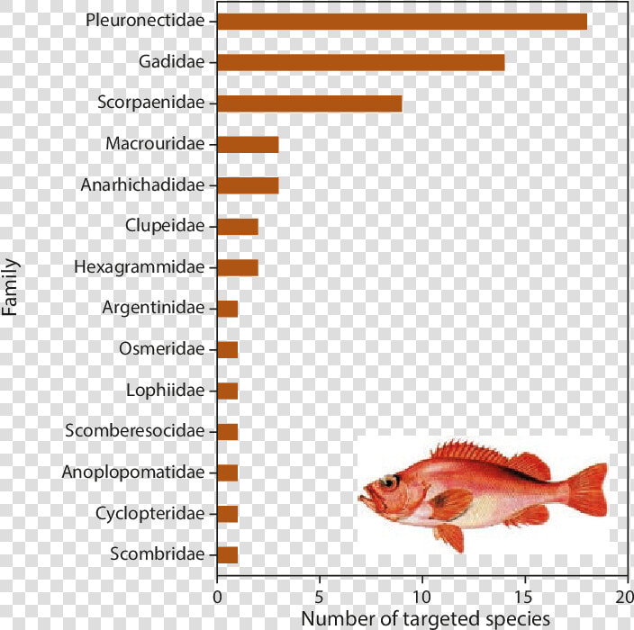 Red Snapper  HD Png DownloadTransparent PNG