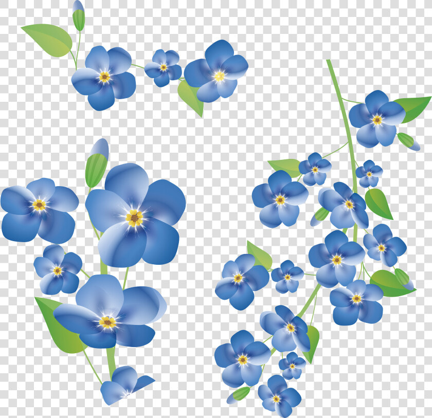 Clip Art Forget Me Not Background   Free Forget Me Not Clipart  HD Png DownloadTransparent PNG