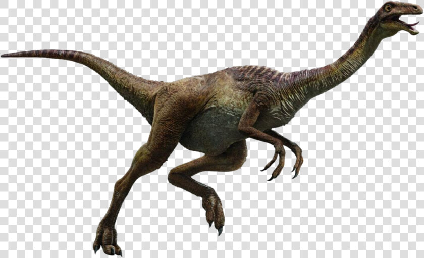 Transparent Velociraptor Png   Jurassic World Dinosaurs Gallimimus  Png DownloadTransparent PNG