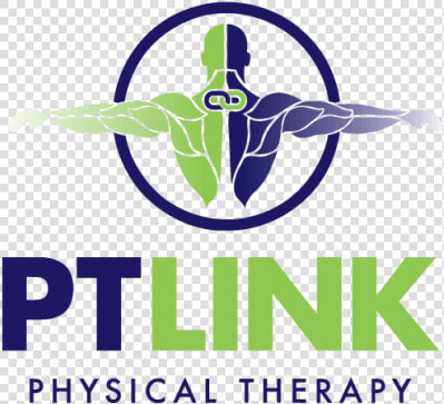 Pt Link Physical Therapy  HD Png DownloadTransparent PNG