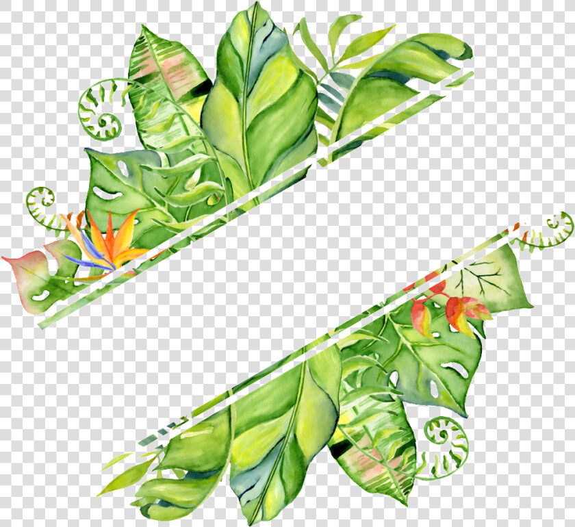 Pintado A Mano En Png Transparente Png Rendering Hojas  Png DownloadTransparent PNG