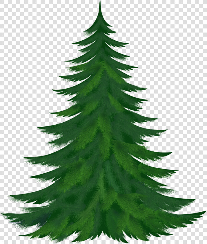 Christmas Tree Clipart Branches   Christmas Tree Images Download  HD Png DownloadTransparent PNG