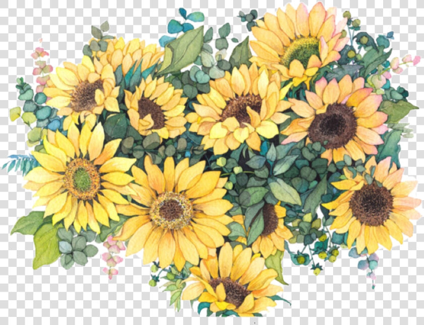  flowers  sunflowers🌻💛🌻  sunflowers  aesthetictumblr   Sunflower Watercolor Png  Transparent PngTransparent PNG