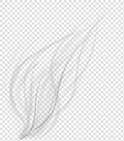 Abstract Lines Png Transparent Image   Abstract Lines White Png  Png DownloadTransparent PNG