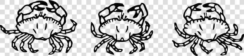 Crabs Png   Png Download   8 Crabs Clipart Black And White  Transparent PngTransparent PNG