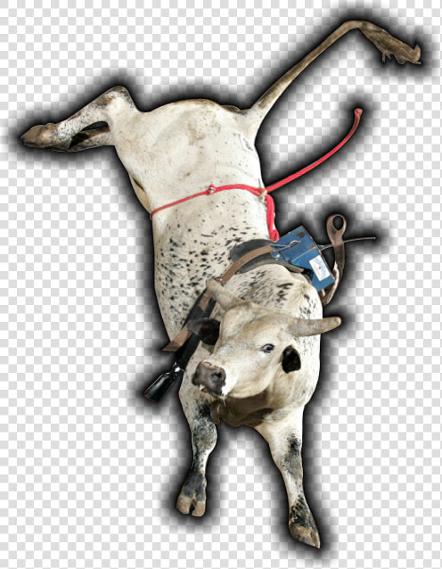 Thumb Image   Jaripeo Ranchero Png  Transparent PngTransparent PNG