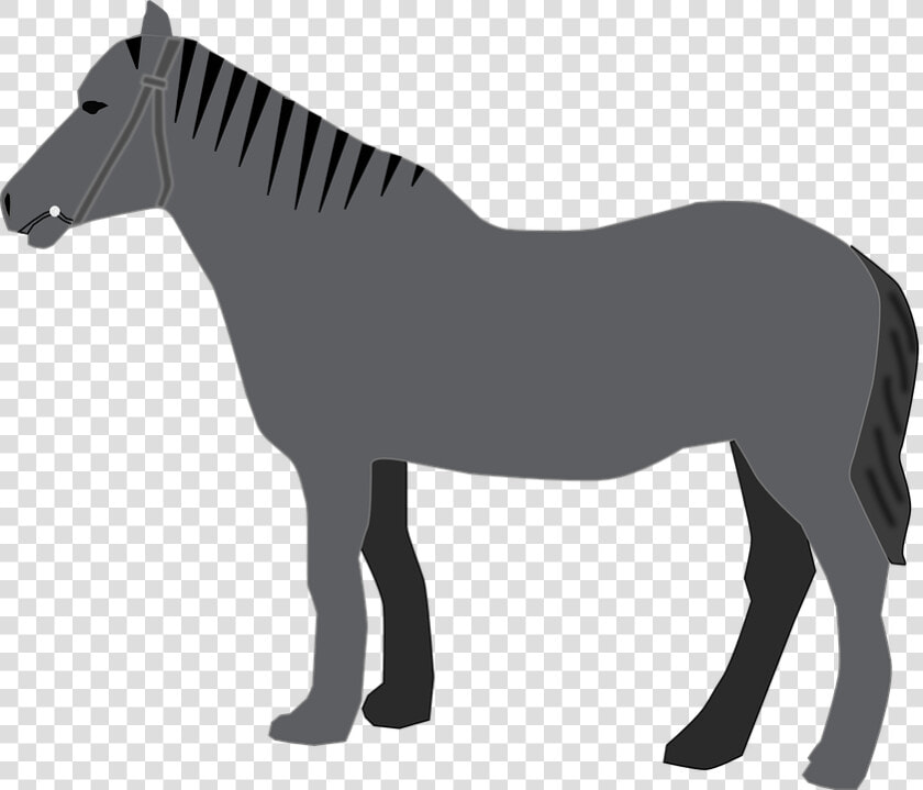 Arabian Horse Standing Silhouette  HD Png DownloadTransparent PNG