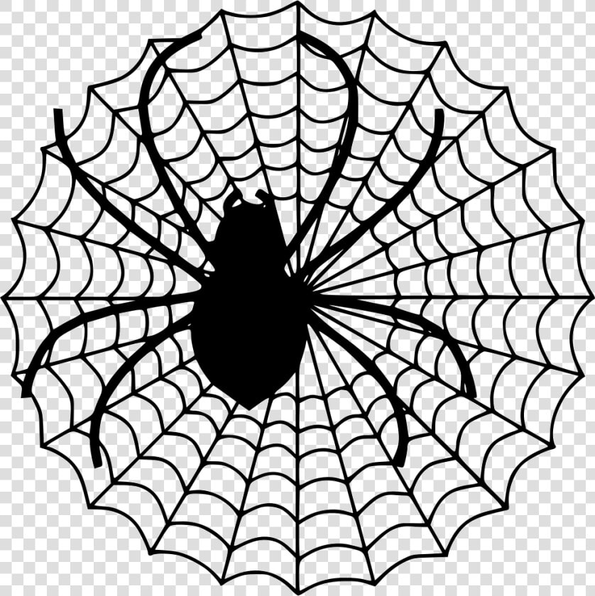 Spider Net   Spider Web Clip Art  HD Png DownloadTransparent PNG