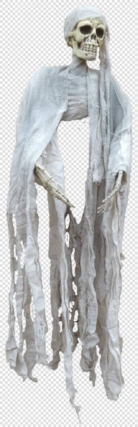 Ghost Skeleton Halloween Transparent Image   Transparent Background Ghost Png  Png DownloadTransparent PNG