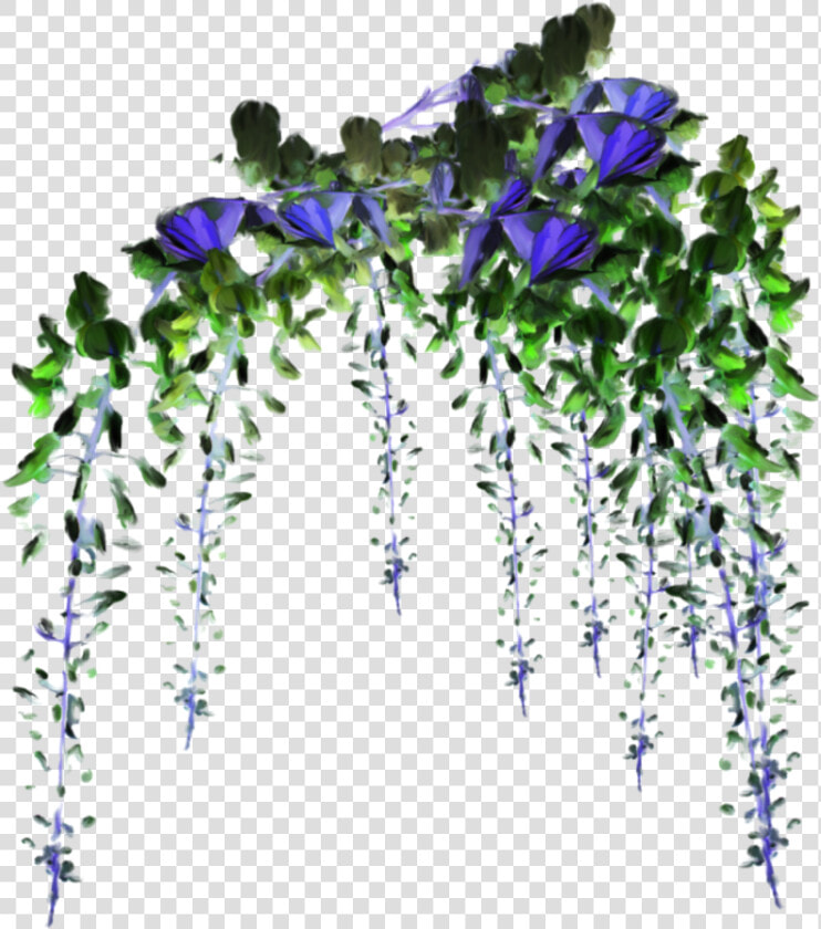  flower  flowers  vine  vines  decoration  terrieasterly  HD Png DownloadTransparent PNG