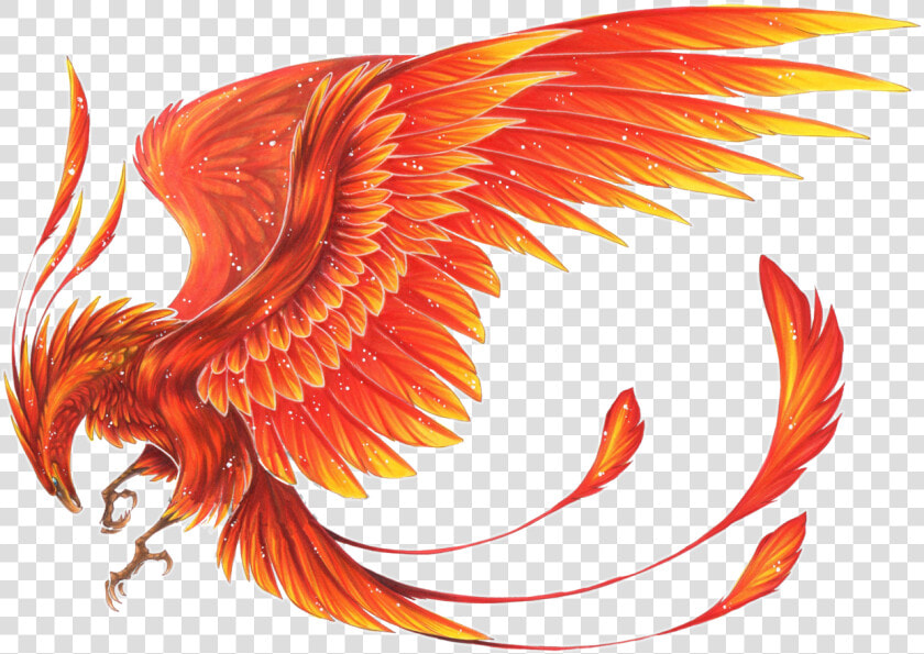 Mythical Creature Phoenix Drawing  HD Png DownloadTransparent PNG