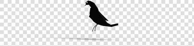 Blackbird  HD Png DownloadTransparent PNG