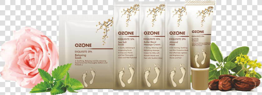 Ozone Mani Pedi Spa  HD Png DownloadTransparent PNG