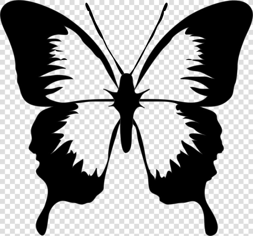 Butterfly Black Butterfly Images Black And White Free   Butterfly Clip Art  HD Png DownloadTransparent PNG