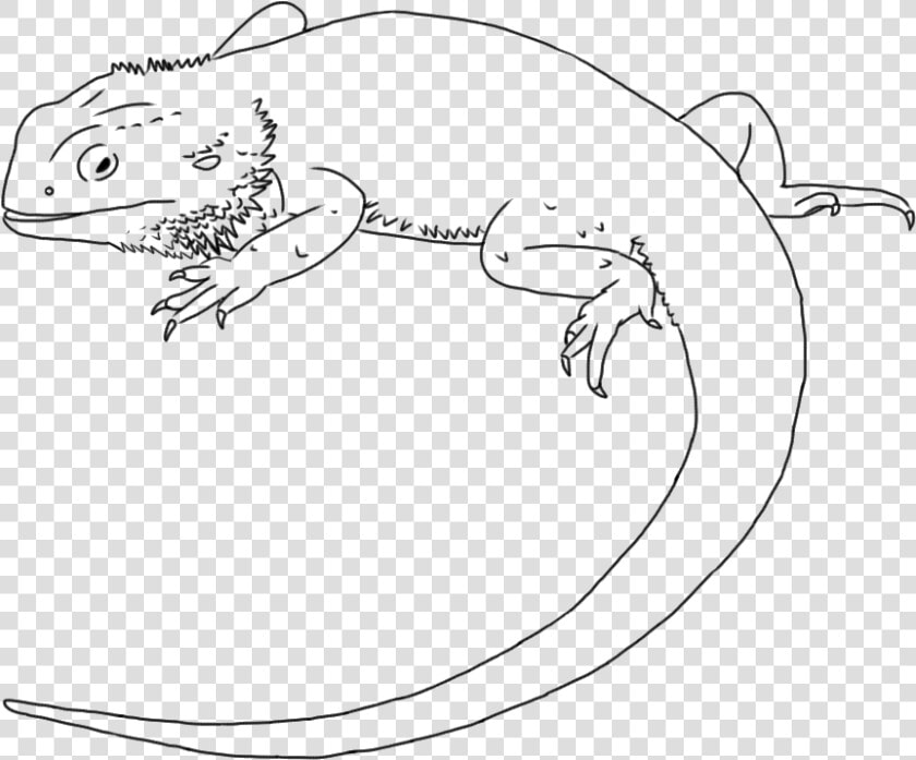 Lizard Drawing Central Bearded Dragon Line Art Clip   Draw A Bearded Dragon  HD Png DownloadTransparent PNG